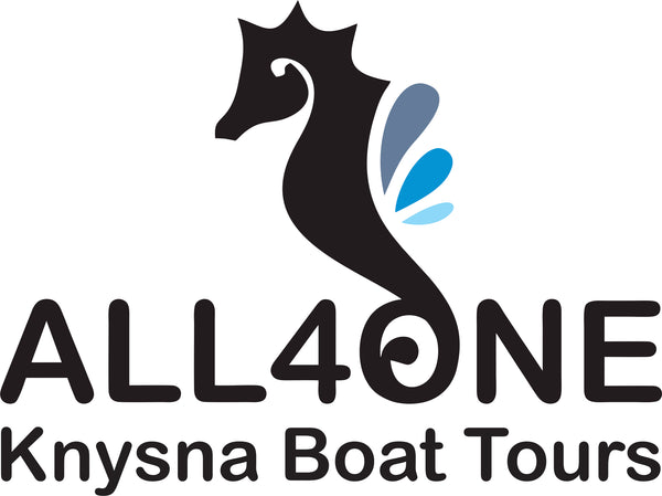Knysna Lagoon Charters - All4One